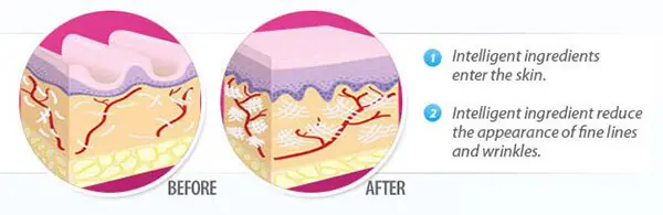 eco-maxx-cream