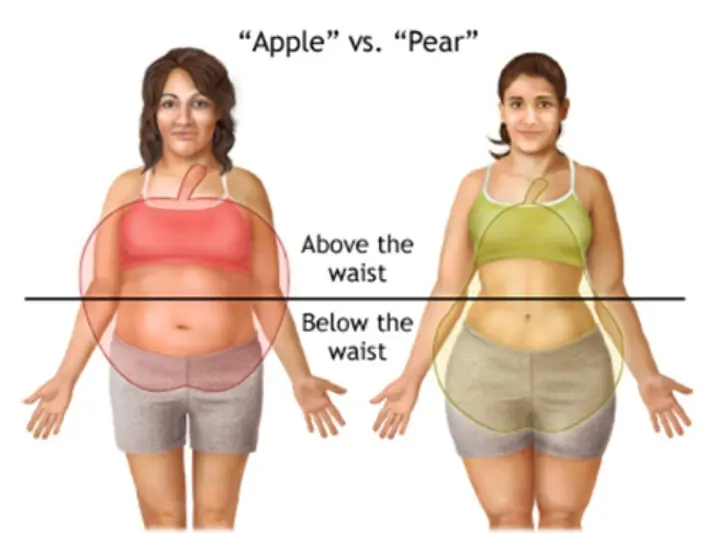 Lose Belly Fat
