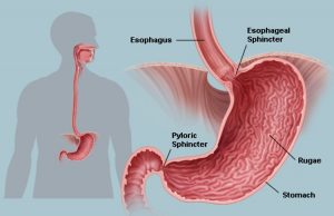  Cyclobenzaprine Side Effects