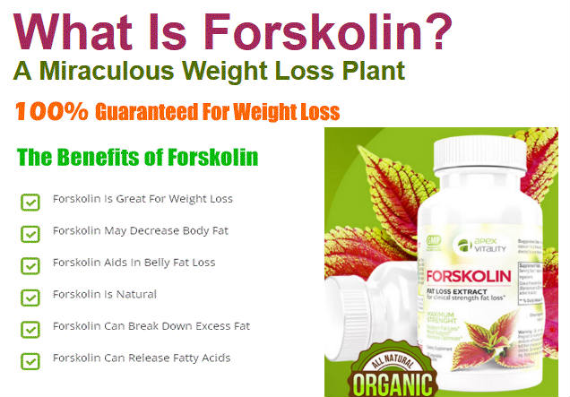 Forskolin Fat Loss Extract