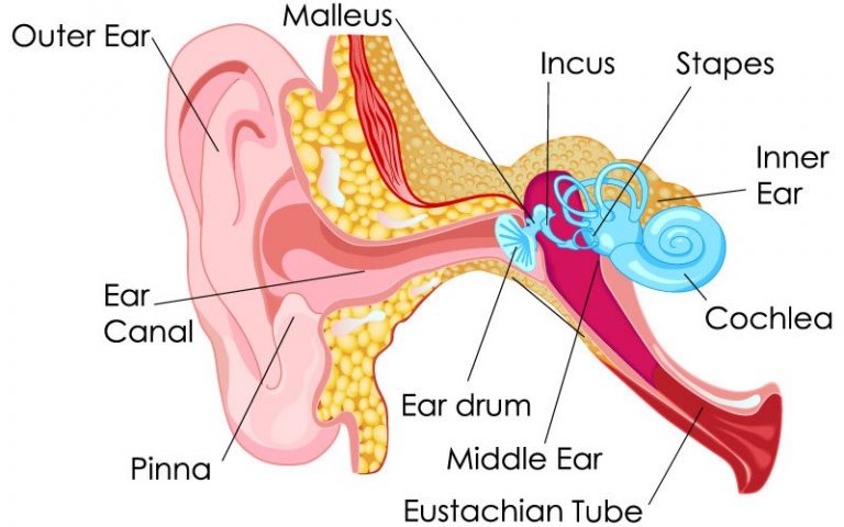 sharp pain behind ear