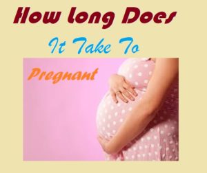 How long does it take to get pregnant