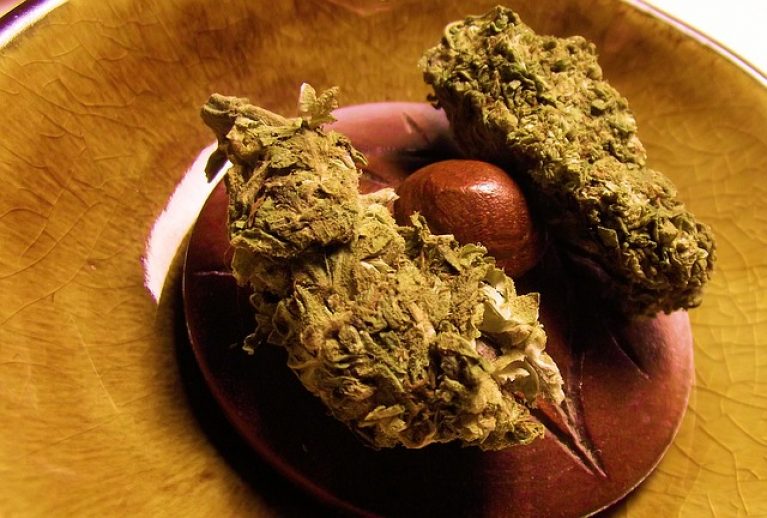 marijuana seeds