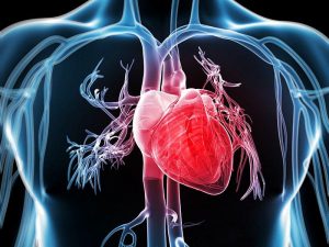 Effects of Alcohol on Your Body