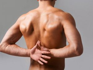 Shoulder Blades