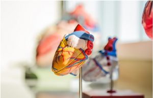 Serrapeptase Health Benefits