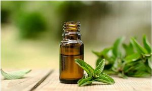 spectrum hemp oil extract