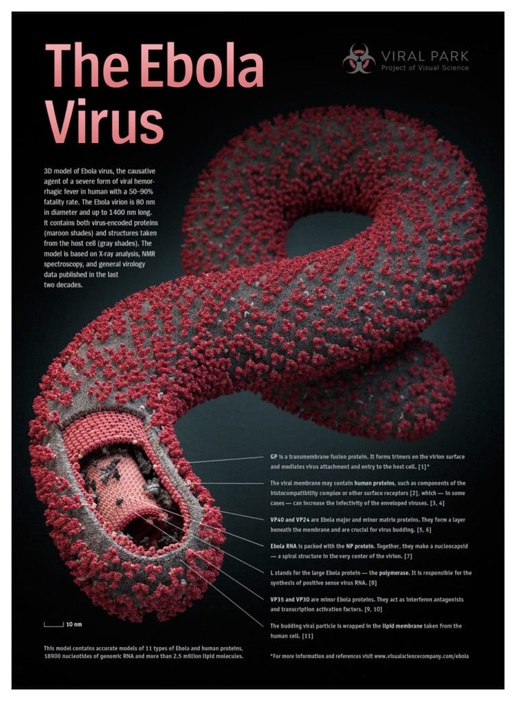 Ebola Virus