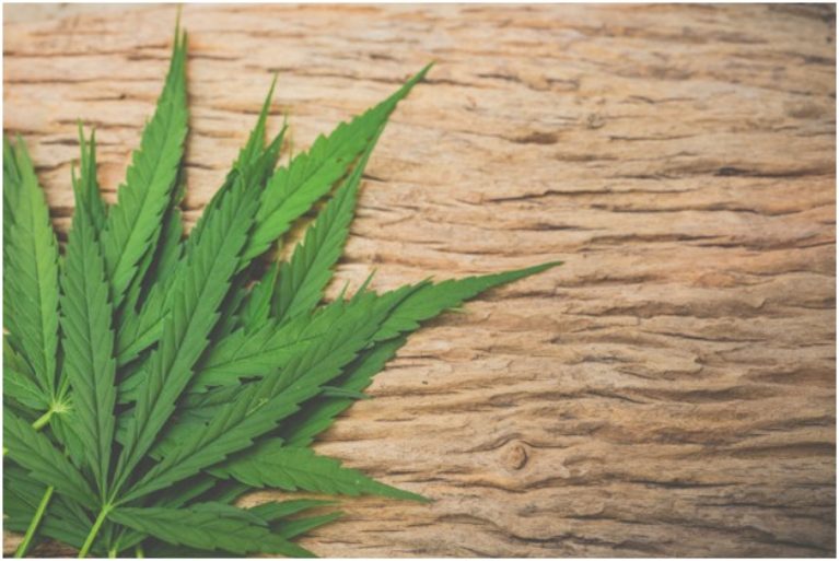 cbd