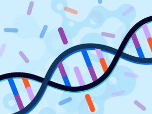 MTHFR Gene Mutation