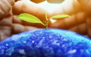 Environmental Health Organziations