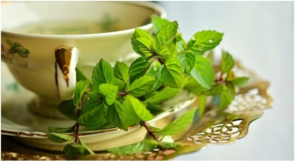 Peppermint