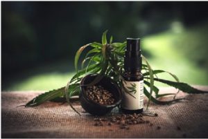 CBD: Why Is It Popular Nowadays?