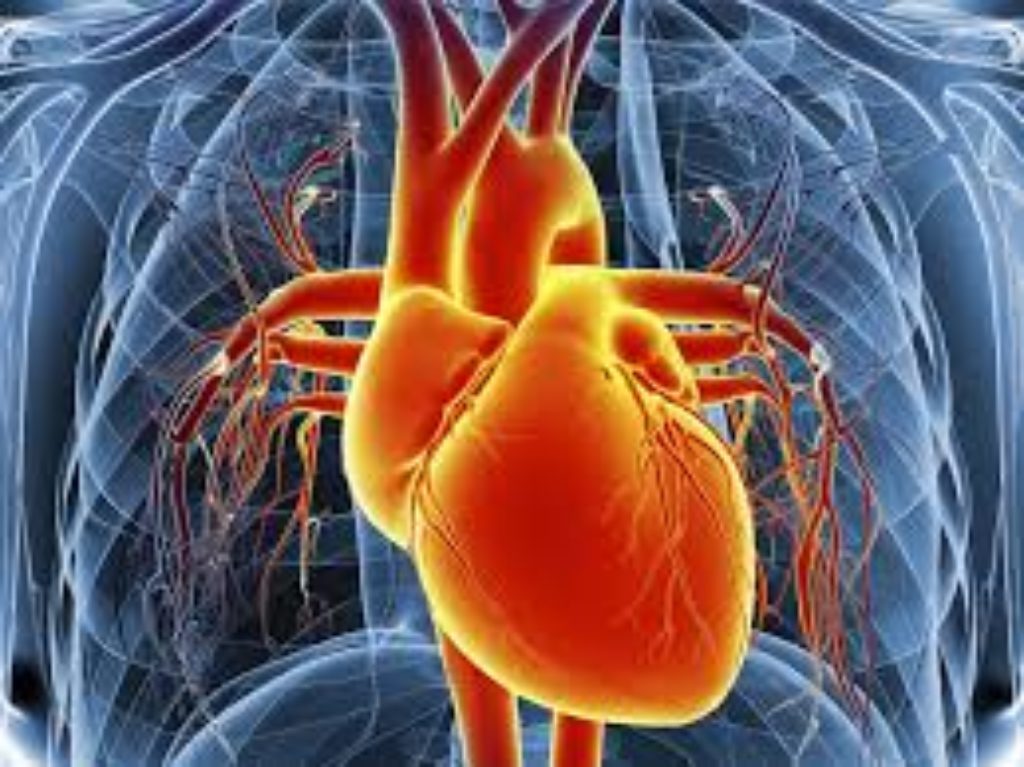 What Is Heart Disease Health Supplements Information