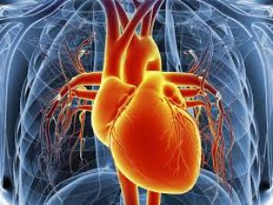 Heart Disease