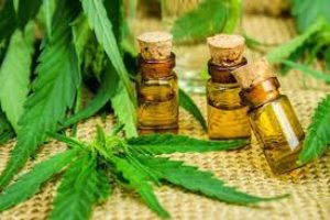 CBD Oil