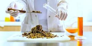 Medical Cannabis Treatment
