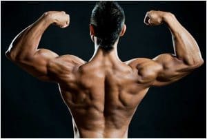 Anabolic Steroids
