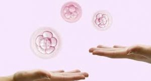 Egg Donation
