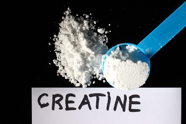 Creatine And Can It Help You Gain Muscle