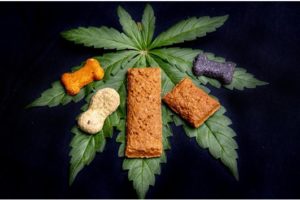 About CBD Dog Treats