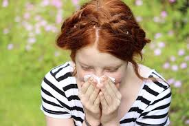 Symptoms of Hay Fever