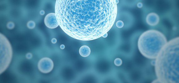 Stem Cell Therapy