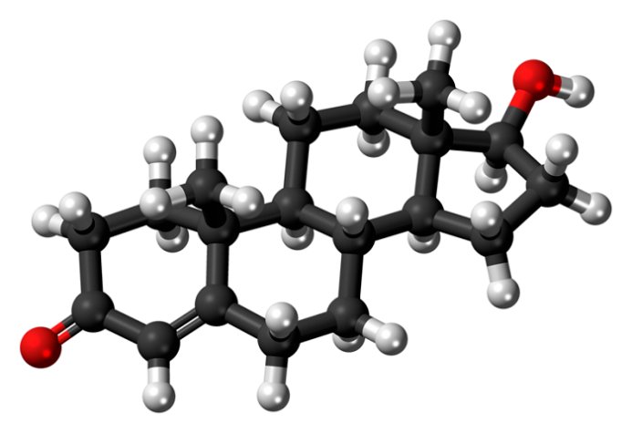 Role of Testosterone in Men’s Health