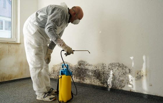 How Does Mould Affect Your Health?