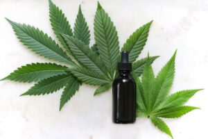 Can CBD Oil Be Bad for Your Health