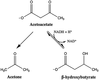 Ketones