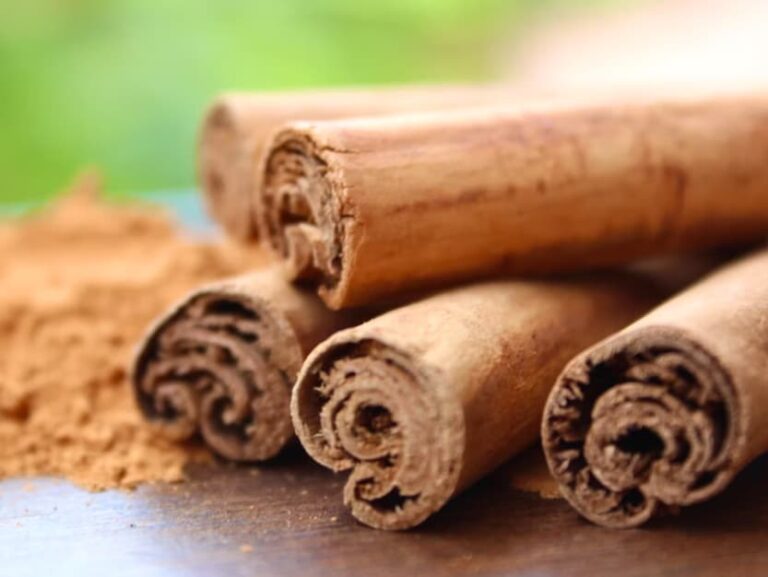 Does Cinnamon Cause Miscarriage