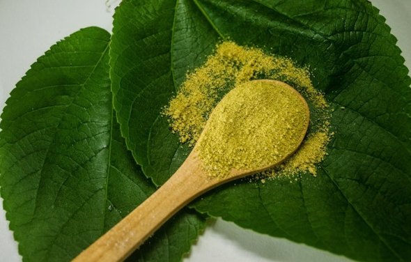 Kratom and Cardiovascular Health