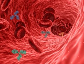 Antibodies Role in Fighting Viruses