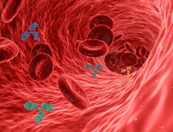 Antibodies Role in Fighting Viruses