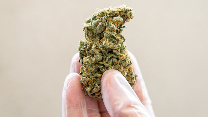 THCA Flower