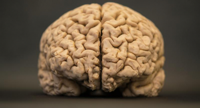 Alpha Levo Energize – A Scientifically Proven Brain Supplement