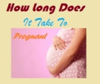 How Long Does It take to Get Pregnant?