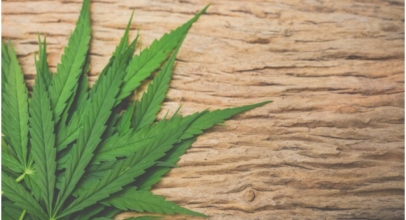 CBD Oil in Canada: Uses, Benefits, Legality, and Availability