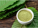 4 Reasons to Consider Trying Out Kratom Today