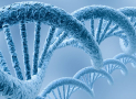 The Key of Understanding Biological Sciences