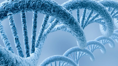 The Key of Understanding Biological Sciences
