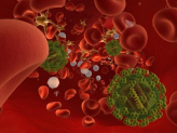Find 5 Major Causes of HIV/AIDS- Preview