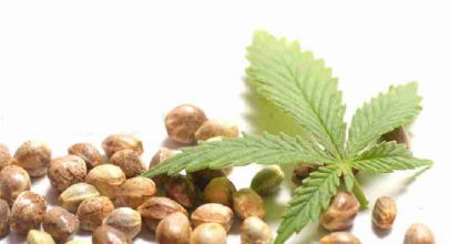 The Ultimate Guide to How Much Hemp Seed Oil Per Day