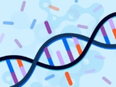 High Levels of Homocysteine Caused by MTHFR Gene Mutation