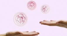 What You Should Know About Egg Donation