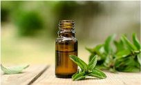 WHAT IS FULL SPECTRUM HEMP OIL EXTRACT?